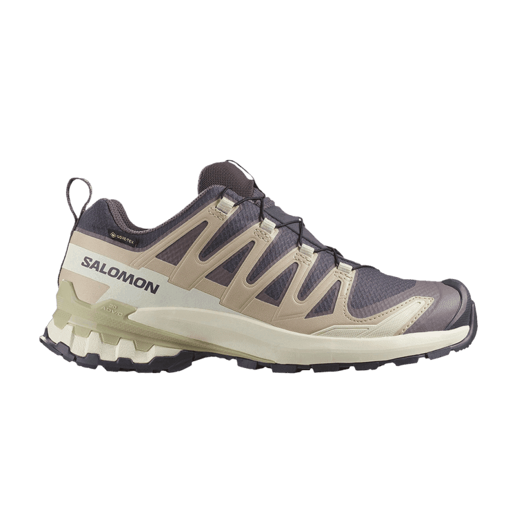 Salomon Wmns XA Pro 3D V9 GORE-TEX 'Nine Iron Alfalfa' Nine Iron/Oxford Tan/Alfalfa